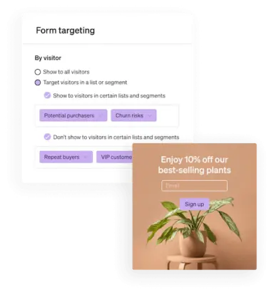 Email targeting with custom form builder