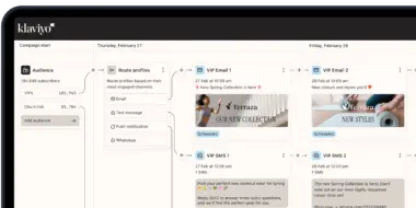 Klaviyo dashboard showing a marketing campaign workflow with audience segmentation and scheduled emails and SMS.
