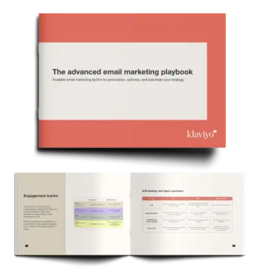 The Klaviyo advanced email marketing playbook sample